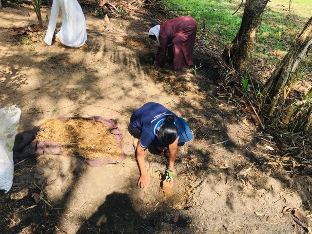 ‘Haritha Deyak’ National Home Gardening Program